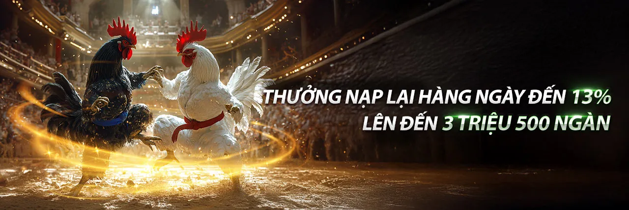 Hình ảnh tổng quan về GK8888, nền tảng cá cược trực tuyến hàng đầu